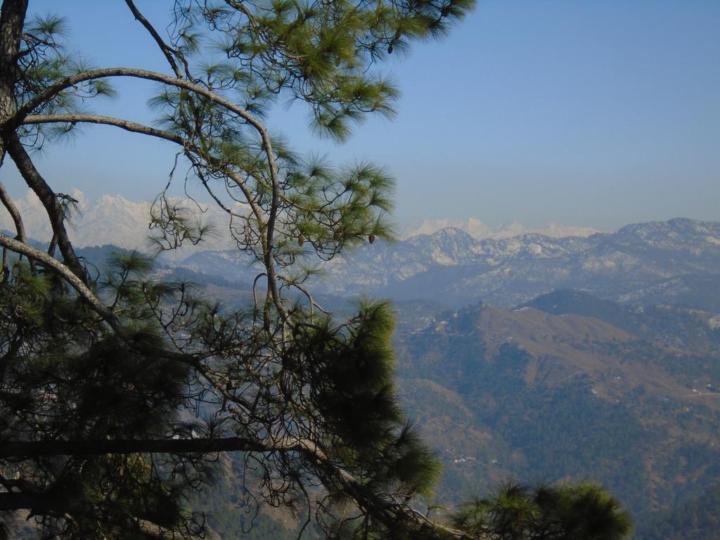 New Dolma Hotel Almora Eksteriør bilde